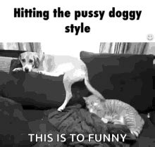 dog porn gifs|DoggyStyle